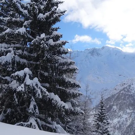 Chalet The French *